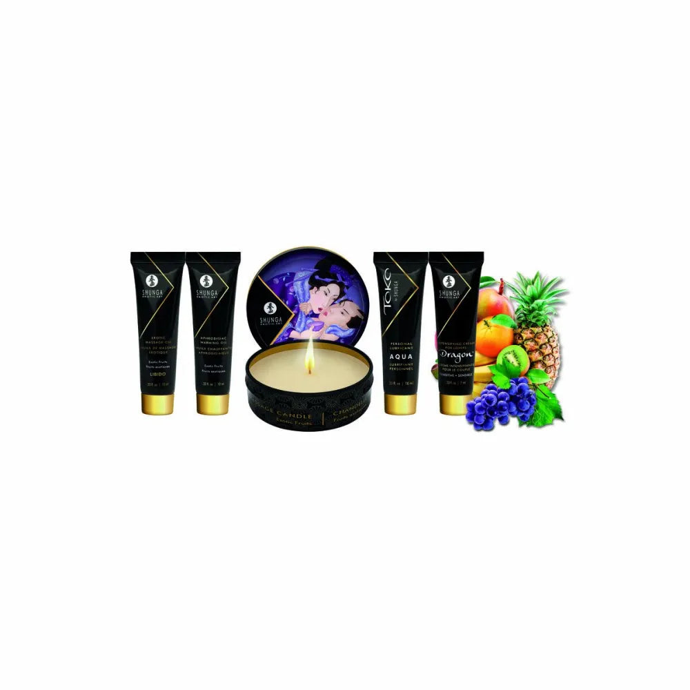 Pleasure Kit By Shunga