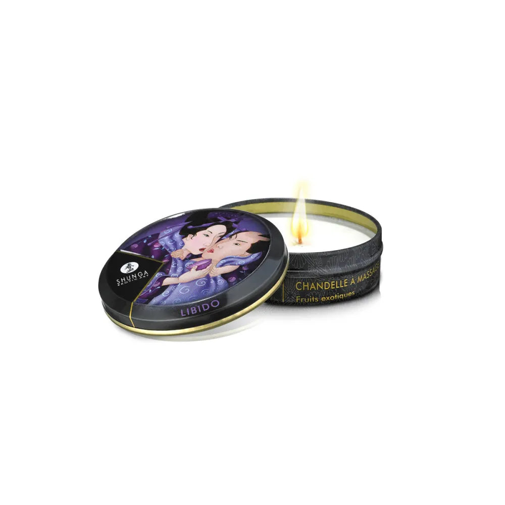 Pleasure Kit By Shunga