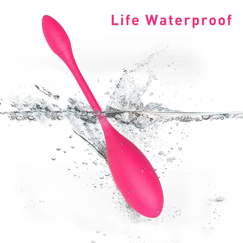 Wireless Dildo Egg Vibrator For Women Wearable G Spot